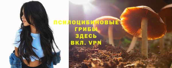 гидра Балахна