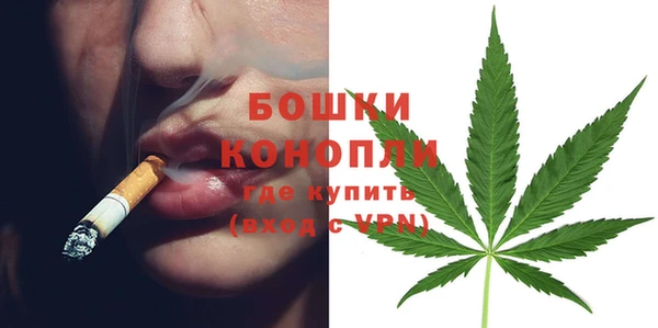 гидра Балахна