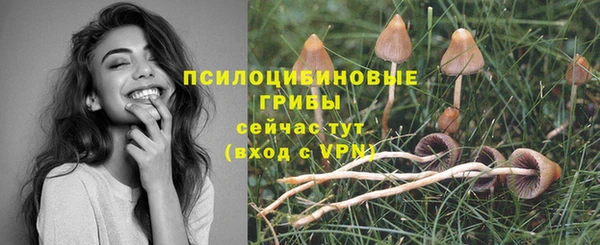кокс Балабаново