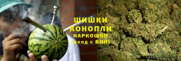 гидра Балахна