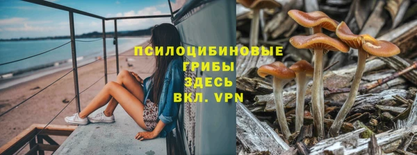 кокс Балабаново